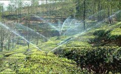 土壤墑情自動監(jiān)測站茶園灌溉中能發(fā)揮什么作用？